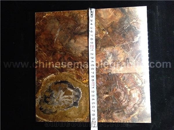 Gold Fossil Wood Compoiste Galaxy White Quartz Tiles for Sale