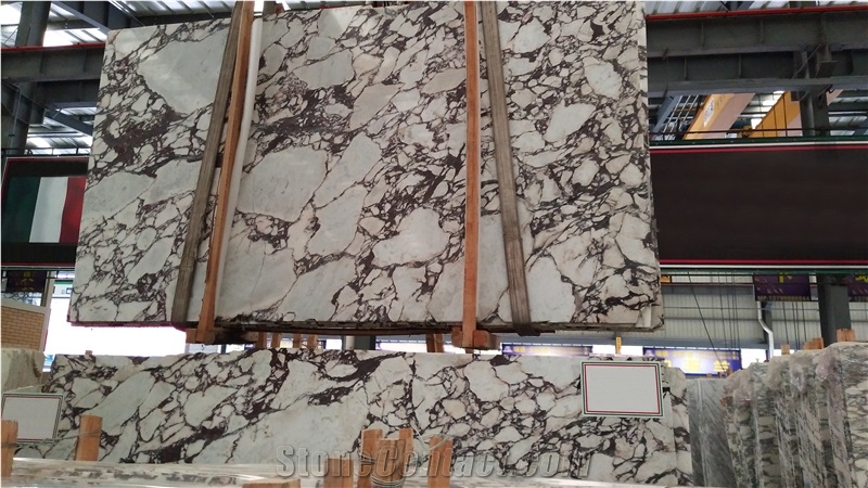 Calacatta Viola Violet Bookmatch Marble Slabs