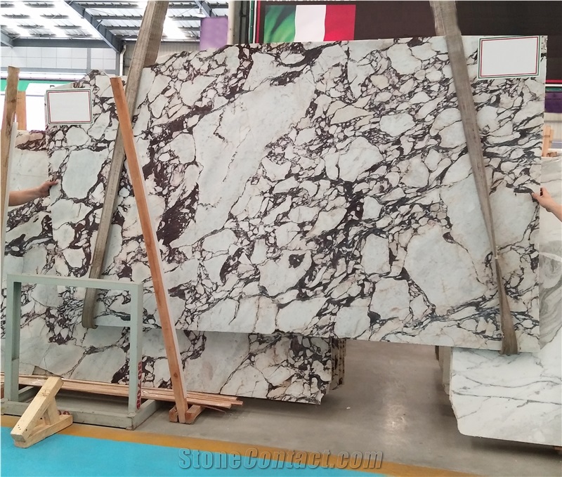 Calacatta Viola Violet Bookmatch Marble Slabs