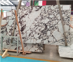 Calacatta Viola Violet Bookmatch Marble Slabs