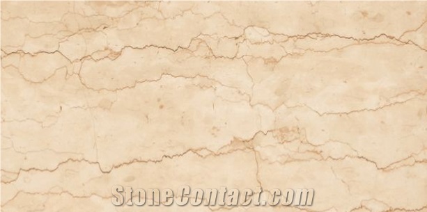 Glazed Porcelain Floor Tiles 24x48 Inch