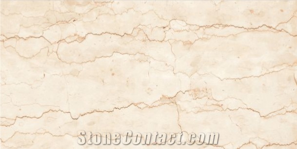 Glazed Porcelain Floor Tiles 24x48 Inch