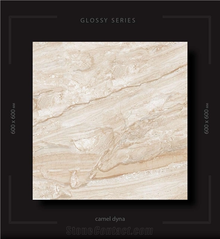 Polished Porcelain Tiles 600x600mm