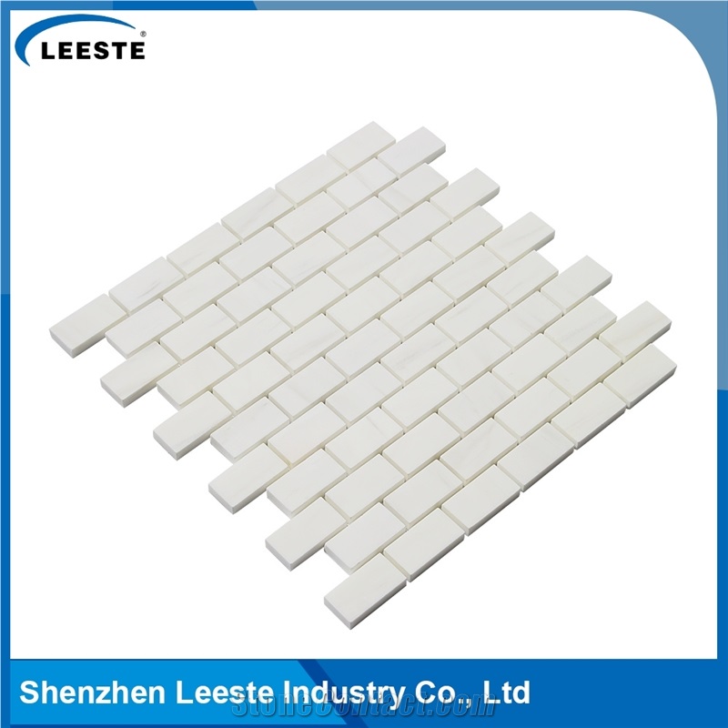 Italian Dolomiti Marble Brick 1x2 Polished Mosaics Tiles