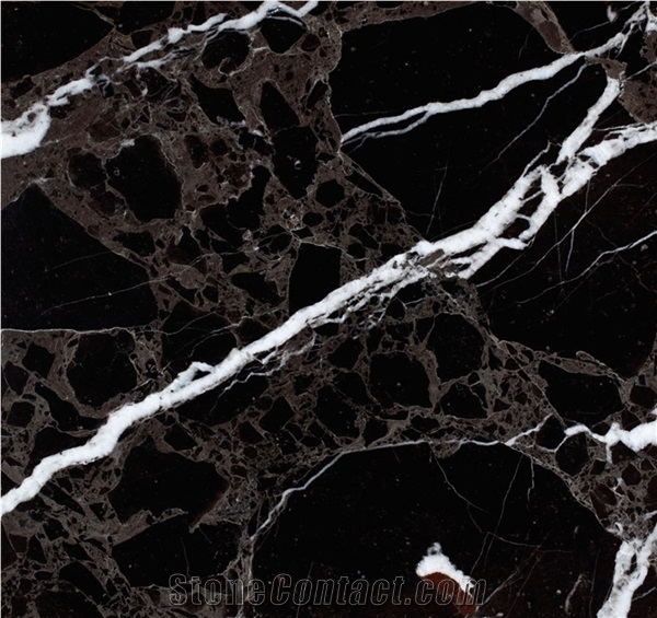Alanya Black Marble Slabs & Tiles, Turkey Black Marble