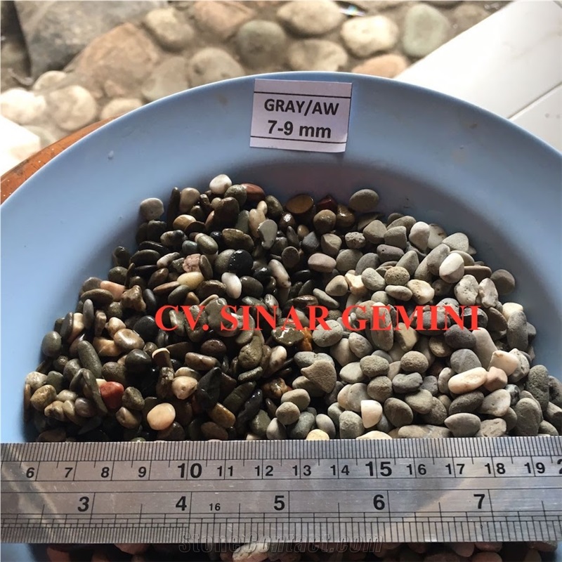 Natural Gray Mini Pebble Stone