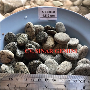 Natural Speckled Pebble Stone Natural Speckled Pebble Stone