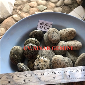 Natural Speckled Pebble Stone