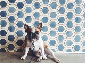 Mosaic Wall and Floor Tiles