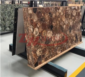 Petried Wood Round Texture Fossil Tree Slabs