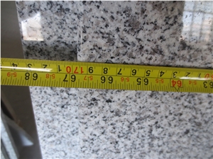 Silver Grey Granite Vanity Tops/ Countertop/Natural Granite