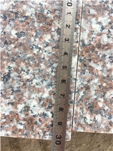 Old Quarry G664 Granite Tiles 60x60 60x30 Professional Supplier