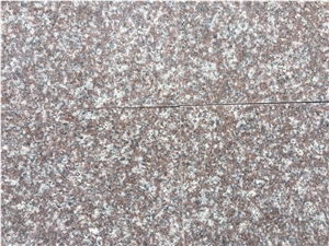 Old Quarry G664 Granite Tiles 60x60 60x30 Professional Supplier