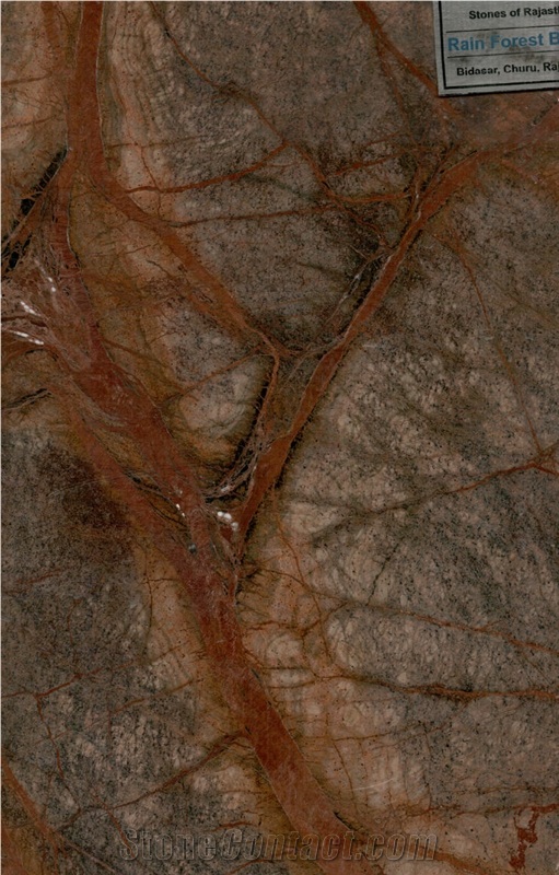 Rain Forest Brown Marble