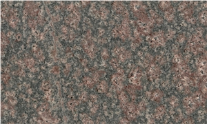 Bala Flower Granite, Desert Bloom Granite Tiles & Slabs
