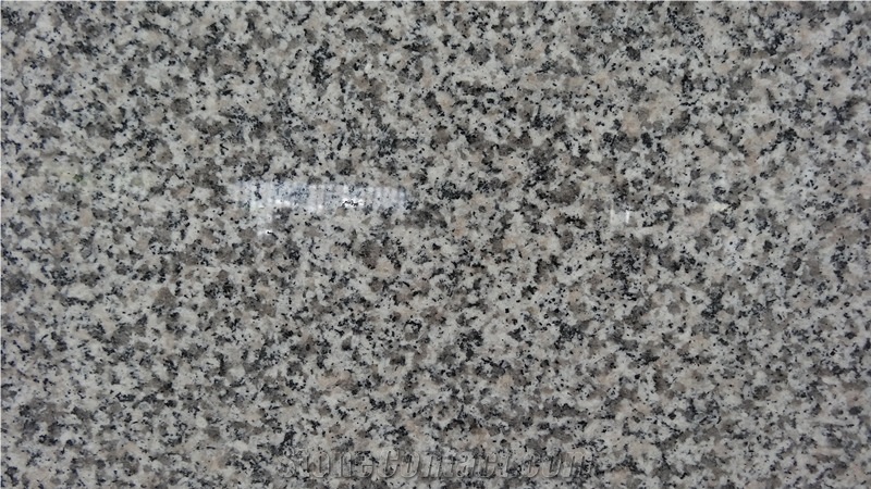 Bianco Sardo / High Quality Granite Tiles & Slabs,Floor & Wall