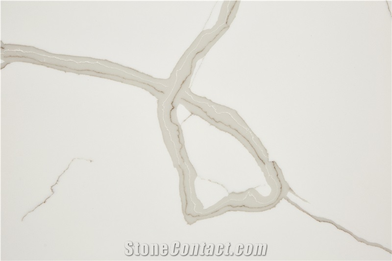 Calacatta White Quartz