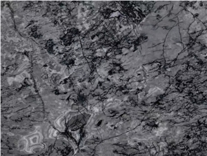 Ocean Star / High Quality Marble Tiles & Slabs,Floor & Wall