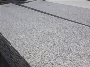 Pearl Flower / High Quality Granite Tiles & Slabs,Floor & Wall