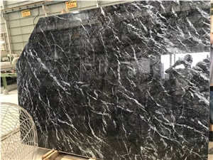 Grigio Carnico Marble for Wall and Floor Covering/Tabletop Grigio Carnico Marble for Wall and Floor Covering/Tabletop
