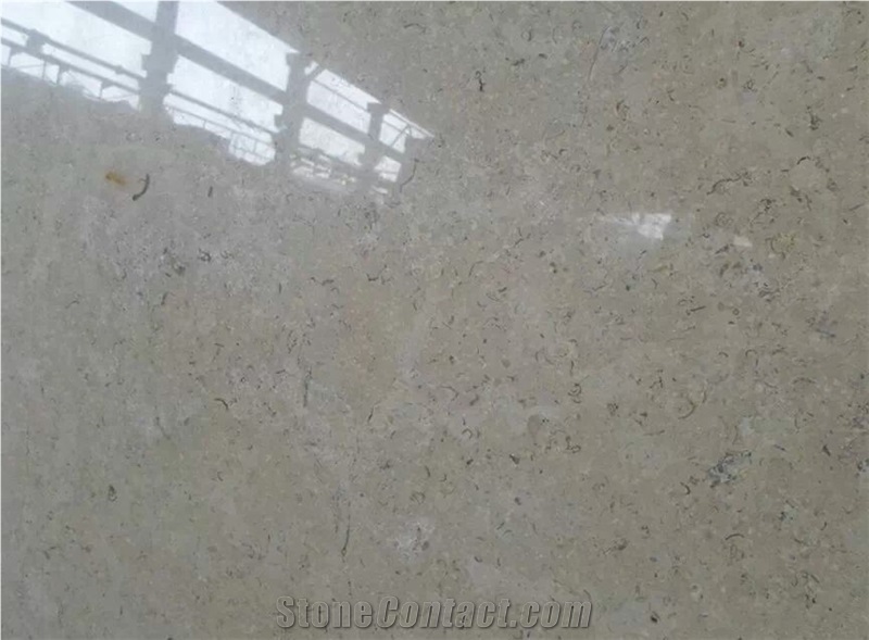 Coffee Pearl Marble Slabs