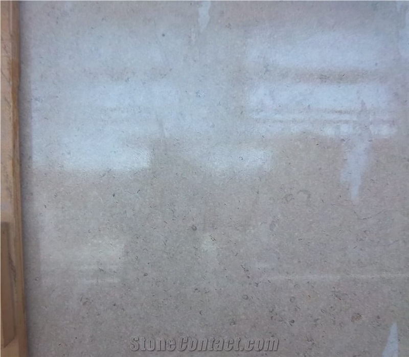 Coffee Pearl Marble Slabs