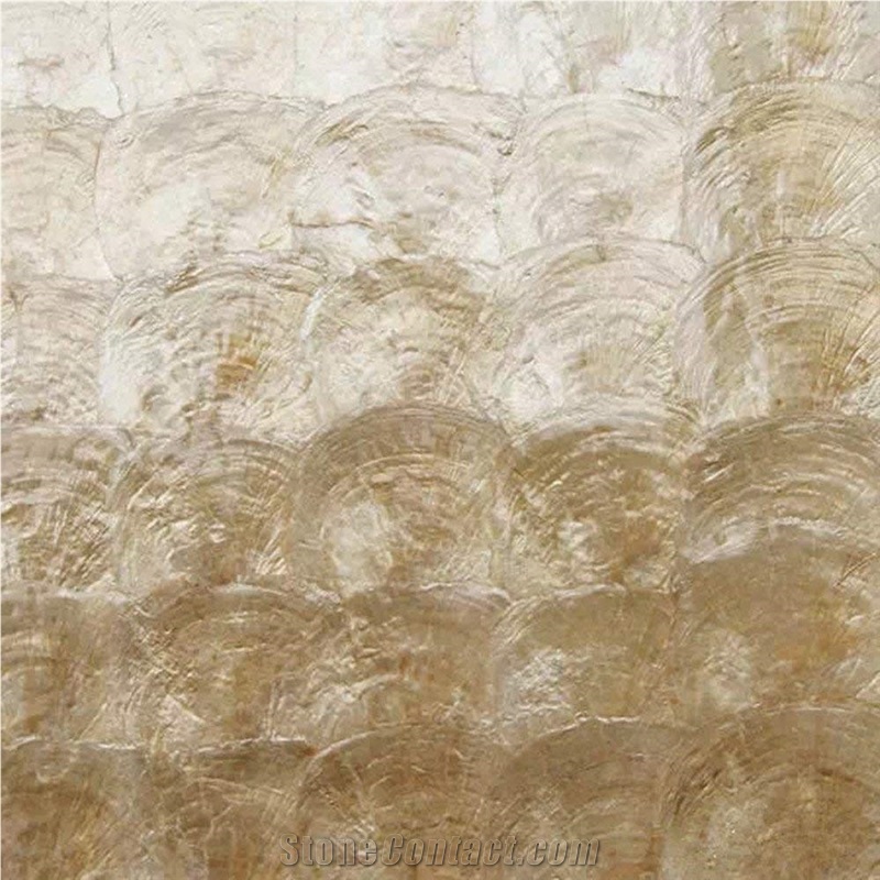Capiz Shell Mosaic Tile Panel for Bathroom and Kitchen Wall Backsplash