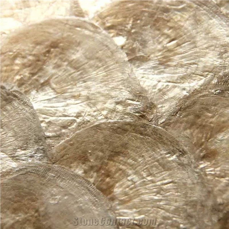 Capiz Shell Mosaic Tile Panel for Bathroom and Kitchen Wall Backsplash