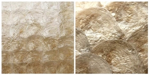 Capiz Shell Mosaic Tile Panel for Bathroom and Kitchen Wall Backsplash