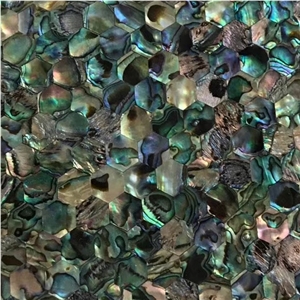 Iridescent Abalone Mother Of Pearl Shell Backsplash Wall Tiles Mosaic