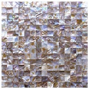 Iridescent Seashell Mosaic Wall Tile Backsplash 12 X 12 Square Pattern