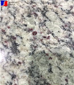 Polished Giallo Santa Cecilia Light Granite Tiles
