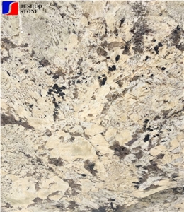Polished India Alaska White Granite Tile Slabs Wall Kitchen Cladding