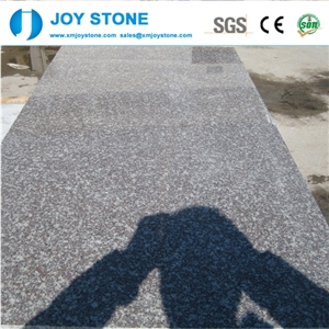 China Best Price Natural Pink Stone Polished G664 Granite Tiles 60x60