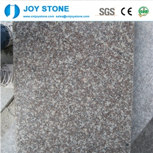 China Building Material Pink G664 Granite Violet Red Tiles 90x90