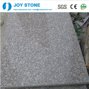China G664 Granite Cut to Size Polished Tile for Wall and Floor 90x90