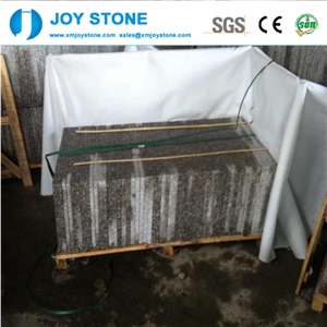 Manufacturer G664 Pink Granite Tile and Steps Cheap Hot Sale 60x60