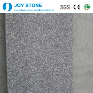 New Type Hot Selling Pink G664 Granite Luoyuan Polished Tile 60x30