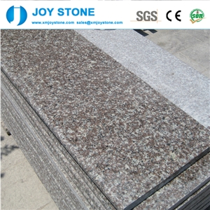 Pink Granite G664 Polished Tile for Exterior Flooring and Wall 60x60