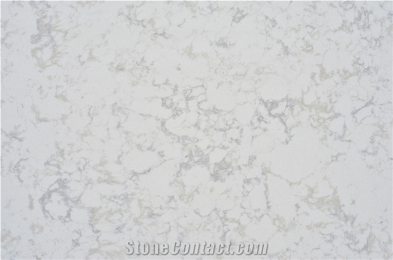 China Quartz Stone VM-17229