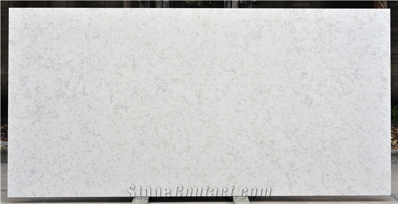 China Quartz Stone VM-17229