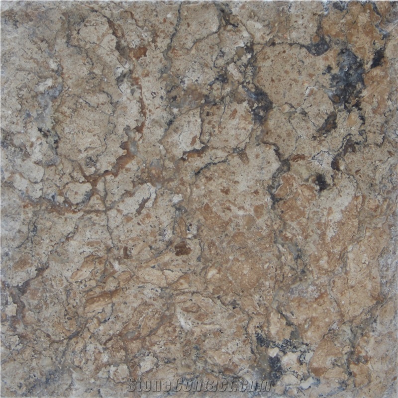 Black Walnut Travertine Polished, Filled 2cm Slabs