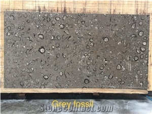 Grey Fossil, Fossil Grey Marble Slabs Grey Fossil, Fossil Grey Marble Slabs