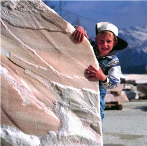 Soelker Rose Split Rocks and Alpine Stones