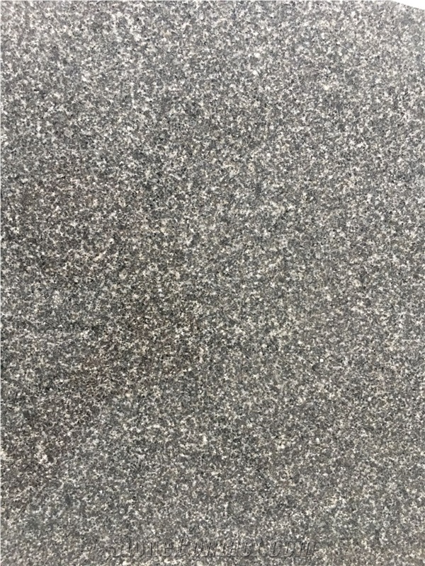 Chinese Dark Grey Granite,New G654,Shandong Black,Padang Drak Grey