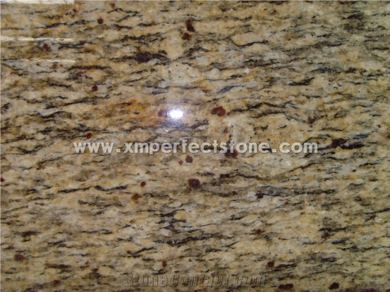 Santa Cecilia Medium Granite Vanity Top with Single Sink