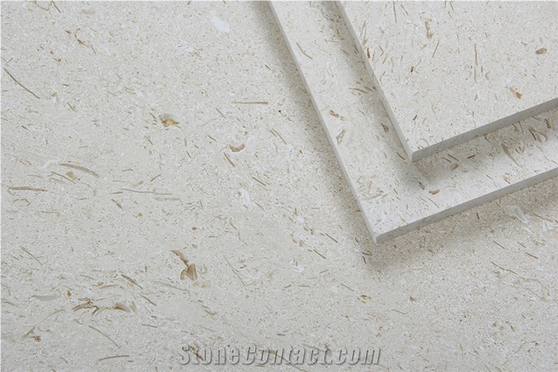 Crema Bella Limestone Tiles, Shell Stone, Turkey Stone