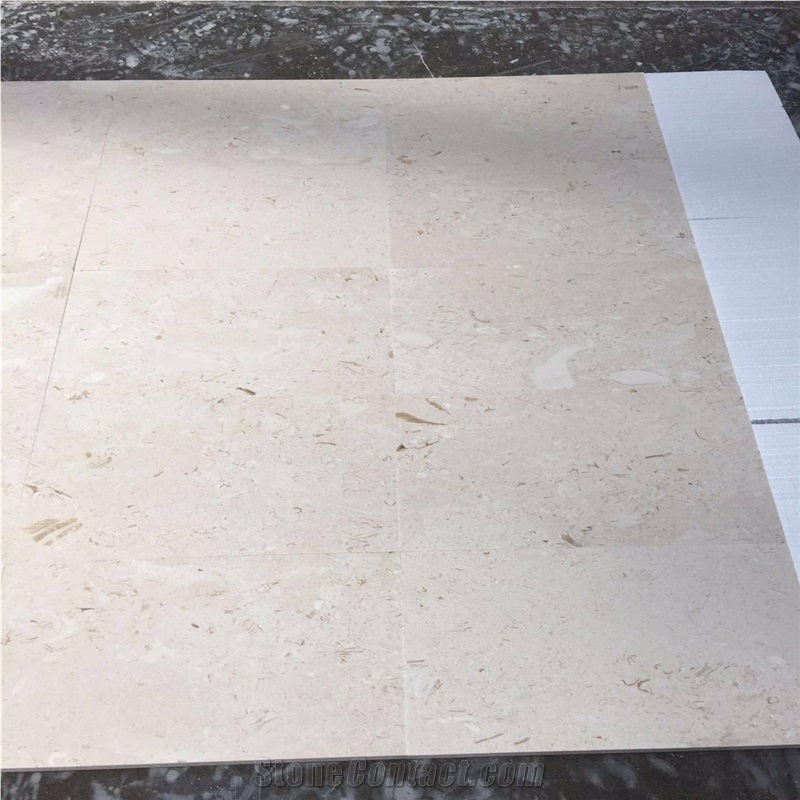 Crema Bella Limestone Tiles, Shell Stone, Turkey Stone