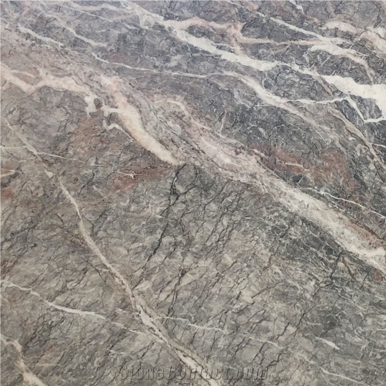 Countertop Flooring Italian Type Fiore Di Bosco Italy Grey Marble Slab