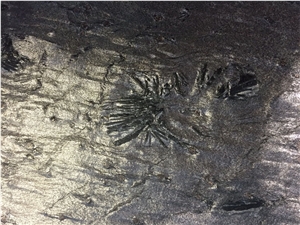 Otta Phyllite,Otta Pillarguri Frost Floor Tiles